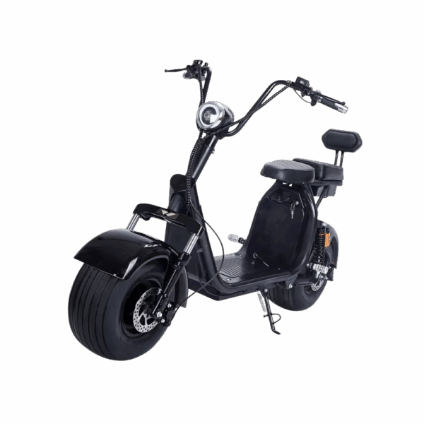 Zippy Scooter EV-2000 — Premium Extended-Range Fat-Tire Scooter